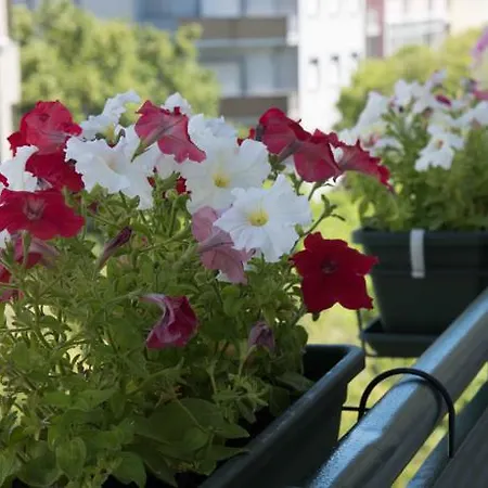 Flower Court - (adults Only) 2* Lissabon