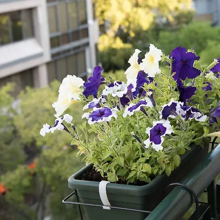 Flower Court - (adults Only) 2* Lissabon